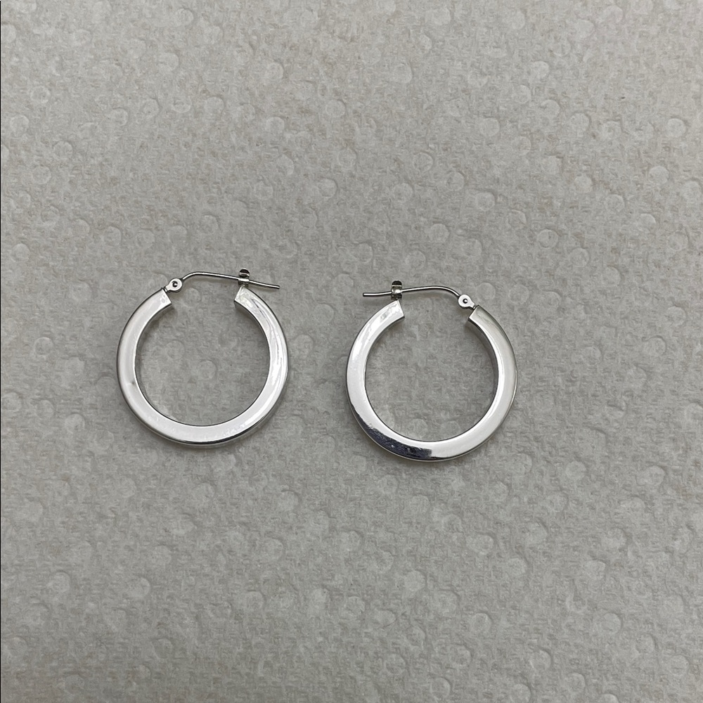 Elegant Silver Hoop Earrings